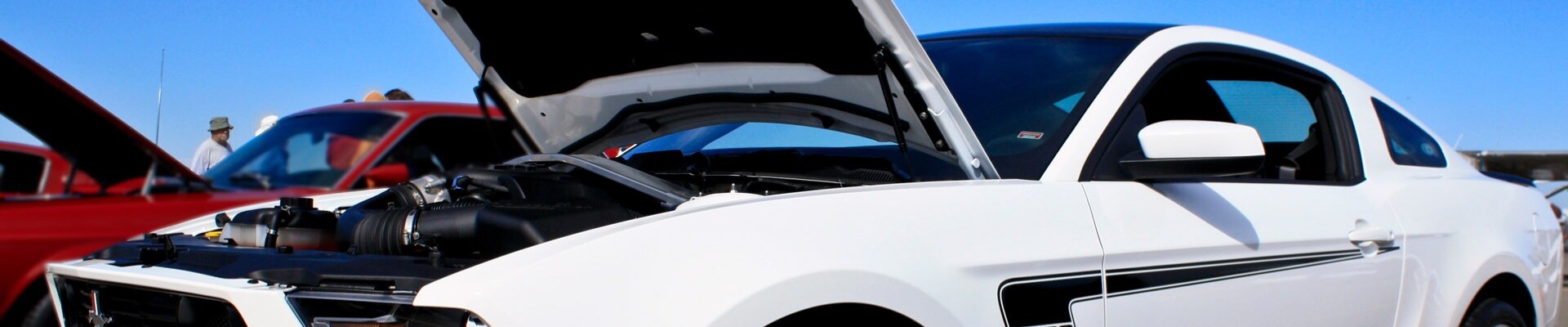 What to check when buying used cars in Colorado Springs at Phil Long Dealerships.png Close up view of a white Ford Mustang with the hood raised looking at the engine and checking out the inner mechanics of the car