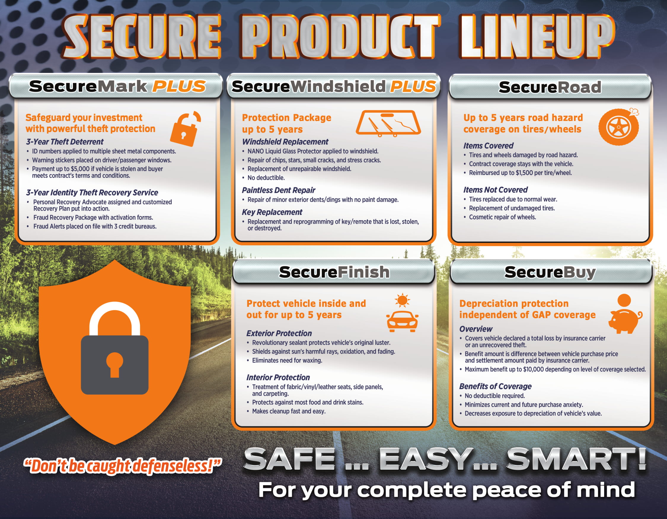 secure product flyer update 2-7-19-1.jpg