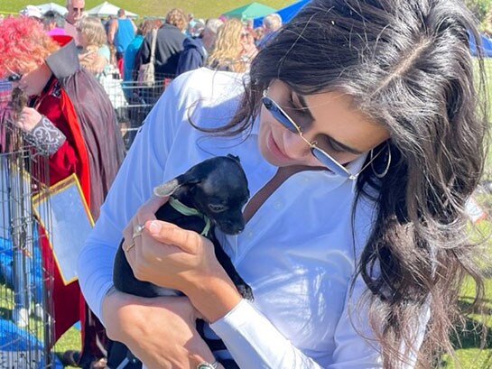 Lovepup-3-opt.jpg