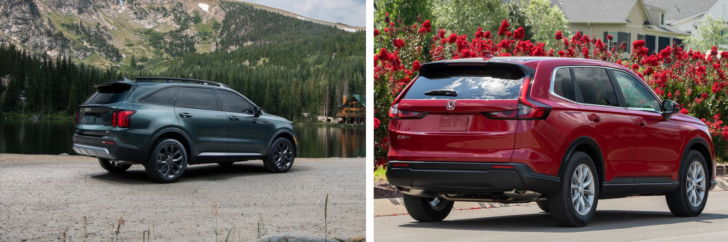 Car Back COmparison.png Kia Sorento back view versus Honda CR-V back view