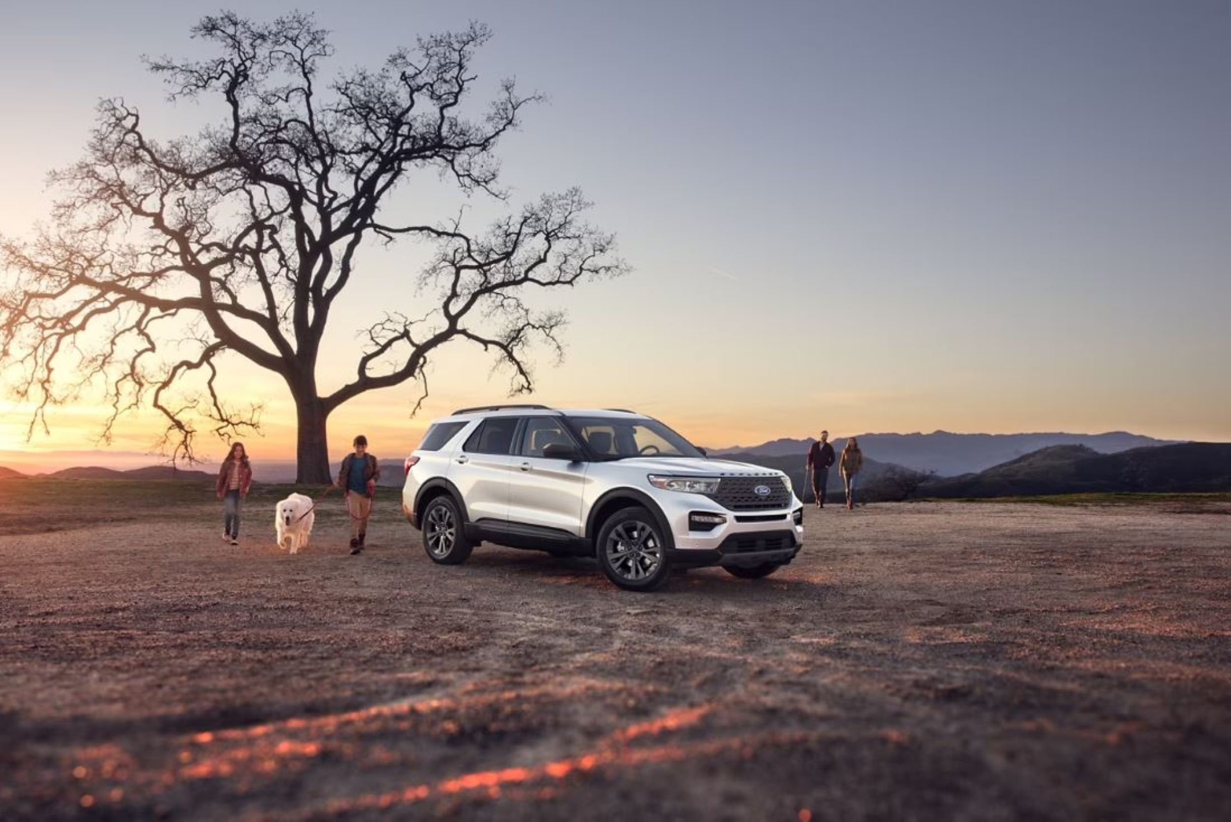 Explorer White 2024.JPG A white Ford Explorer parked in a field at dusk with a tree behind it.