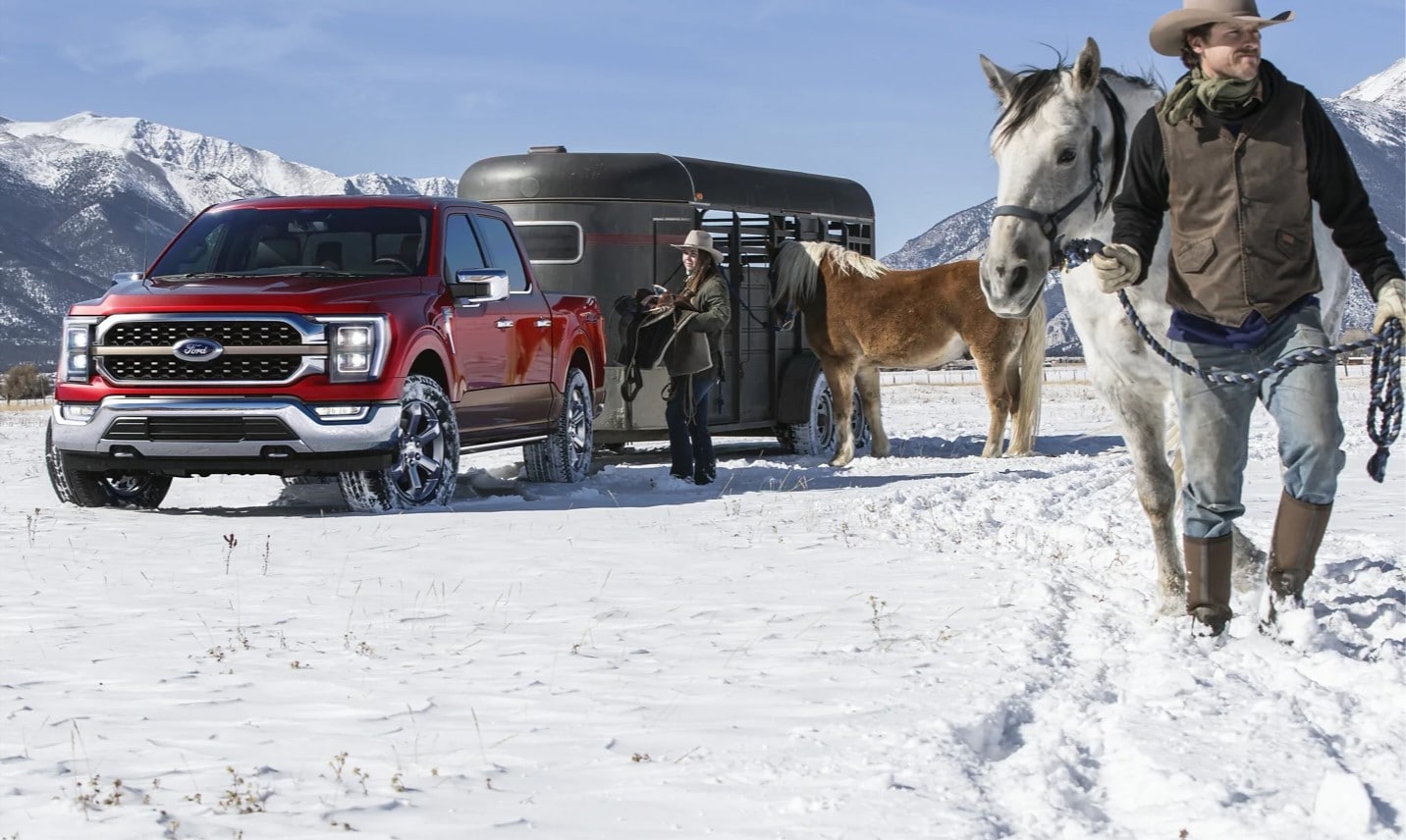 2021-ford-f150-24.jpg 2021 Red Ford F-150 towing a horse trailer with horses walking in snow in the background