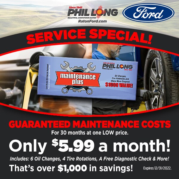 PLFR121321_Service--Guaranteed-600x600.jpg