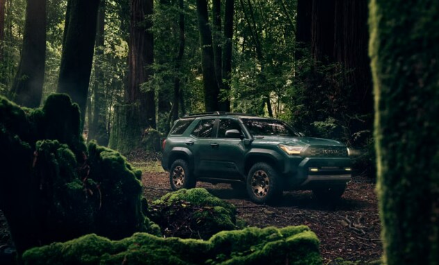 2025%204Runner%20Performance.png
