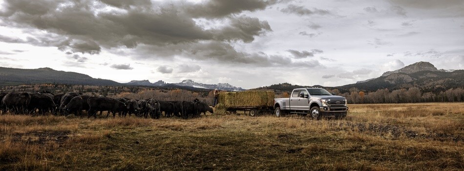 New Ford Trucks