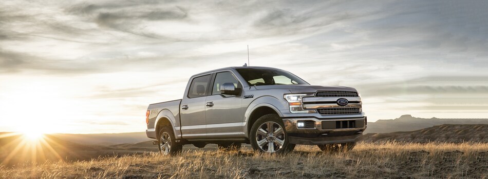 2019 Ford F-150 Banner