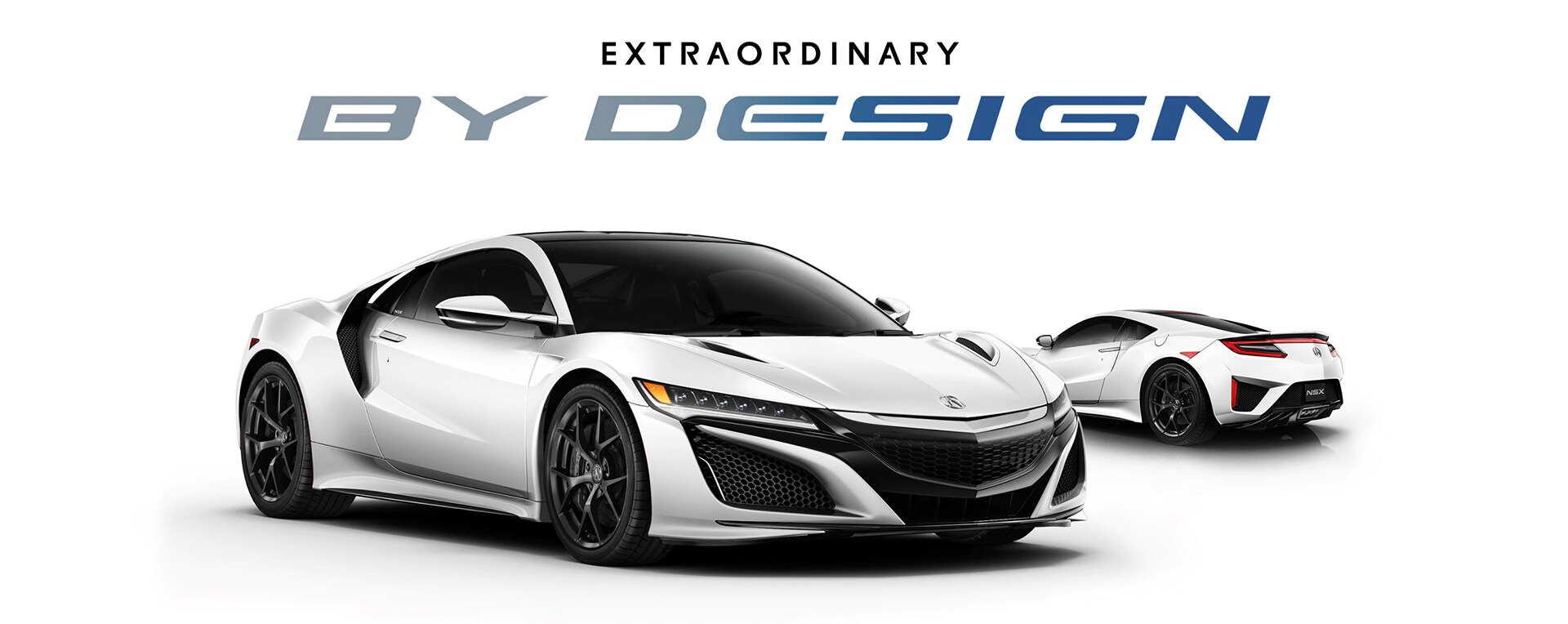 NSX-banner copy2a.jpg