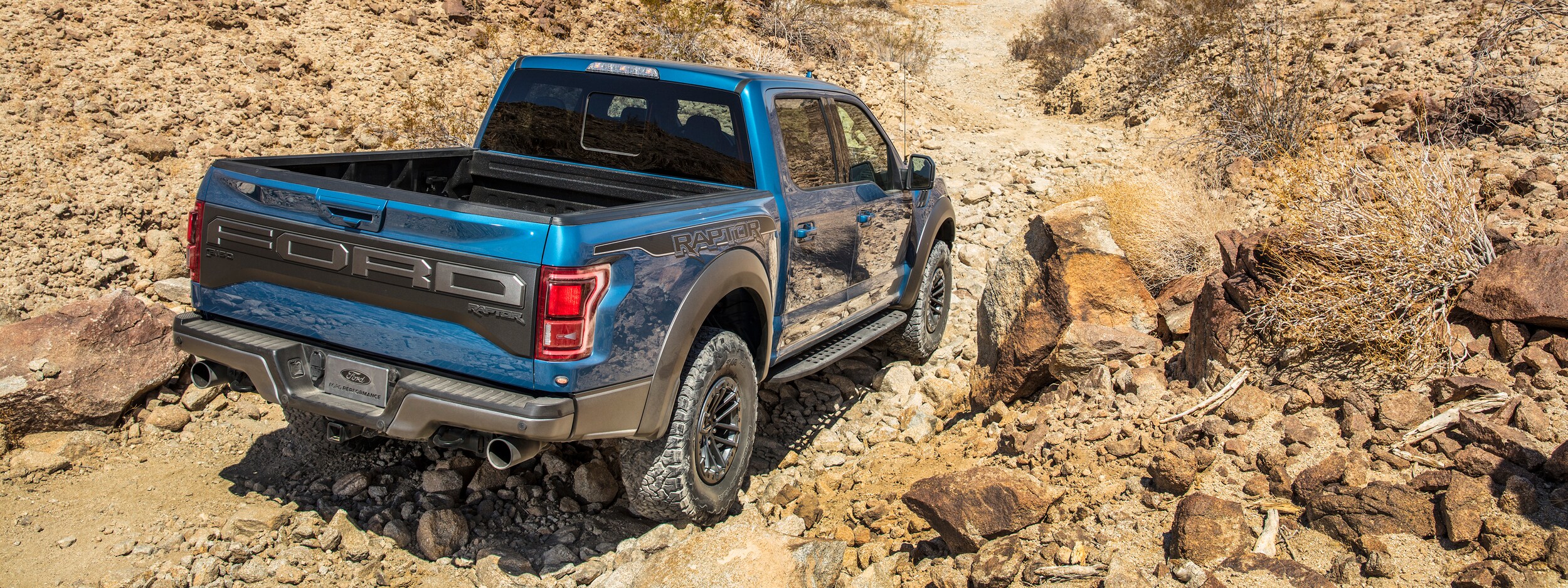 2020 Ford F-150 (2).jpeg