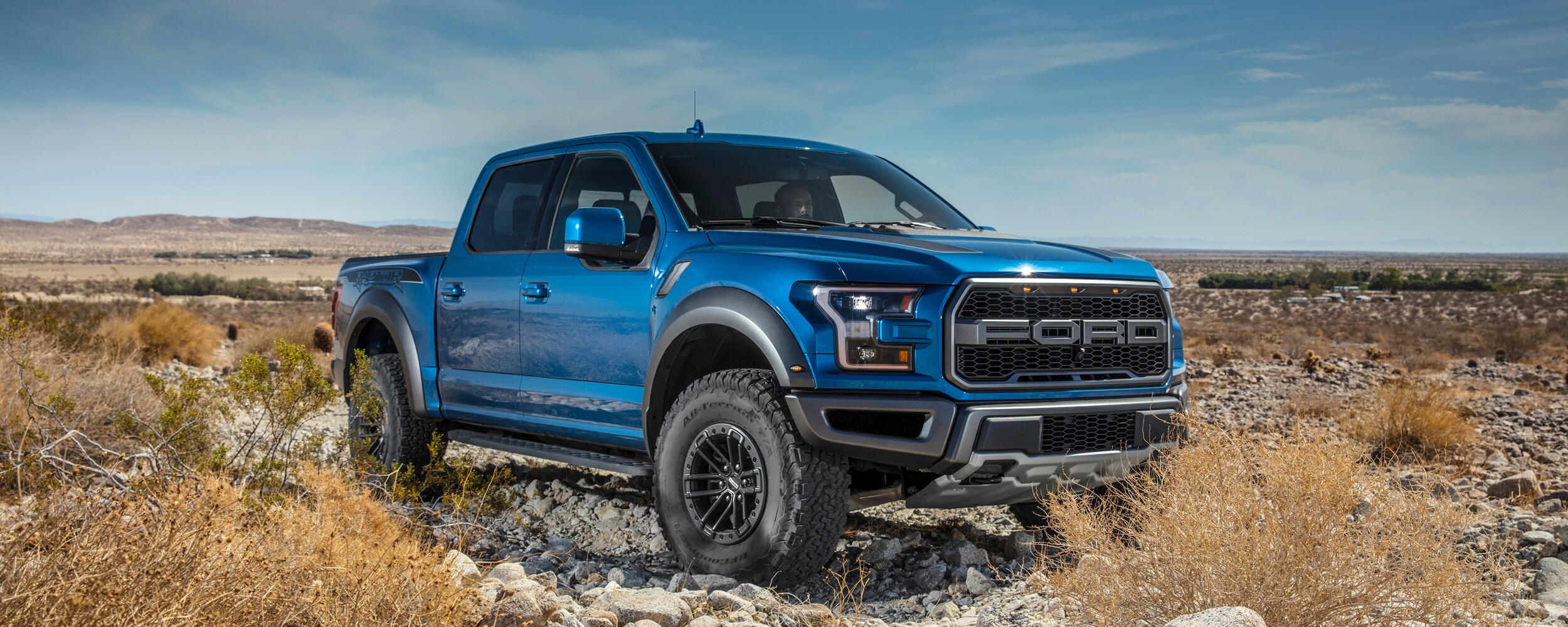 2020 Ford F-150 (4).jpeg