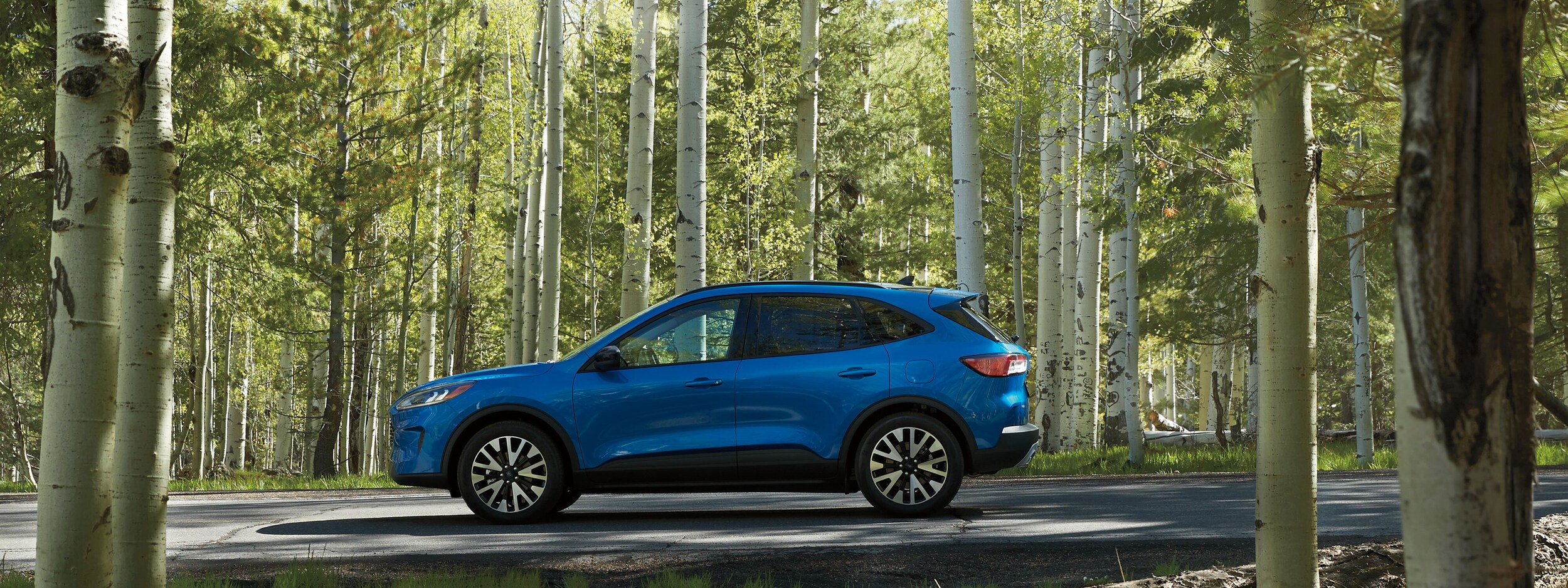 2020 Ford Escape (2).jpeg