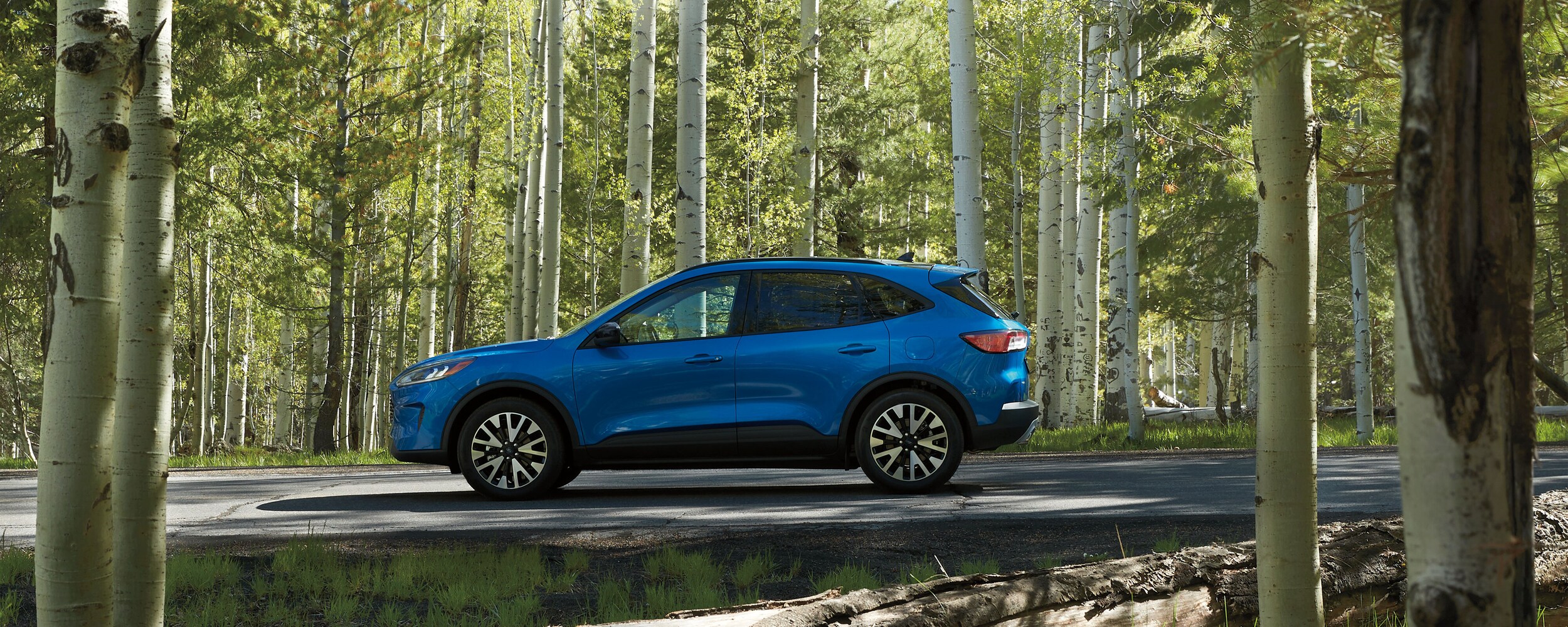 2020 Ford Escape (1).jpeg