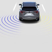 blind spot information system