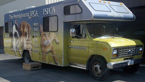 Ardmore Acura on Second Pet Adoption Event Will Be Held Saturday  July 20th 11am 2pm