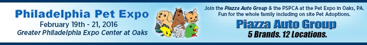 Pet Expo PRE&DURING 728x90.jpg