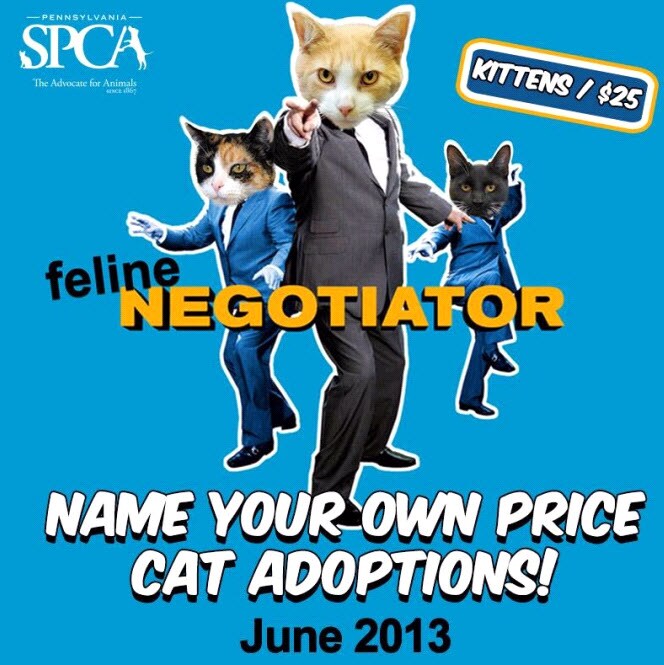 SPCA.jpg