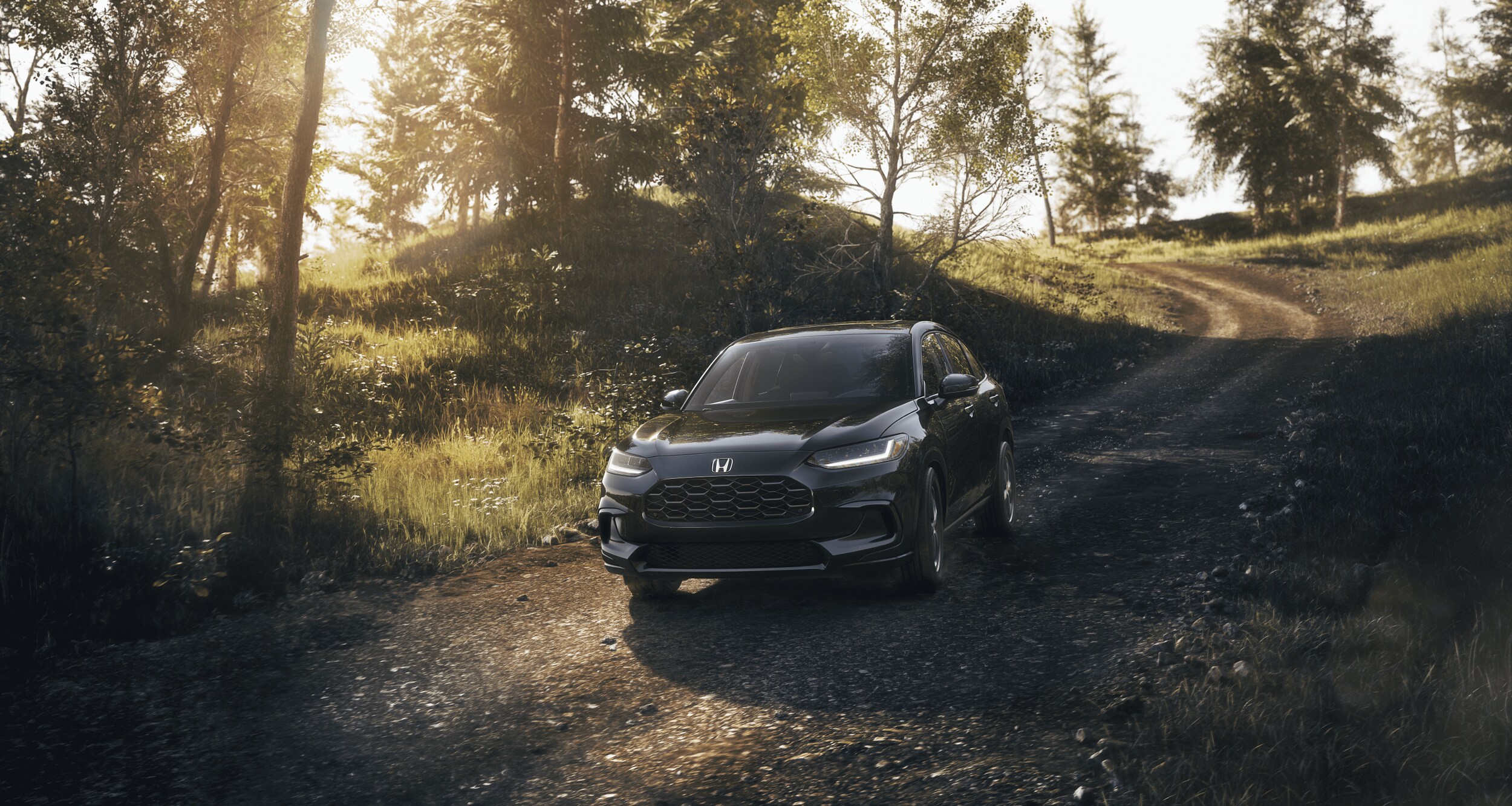 HRV23-014.png