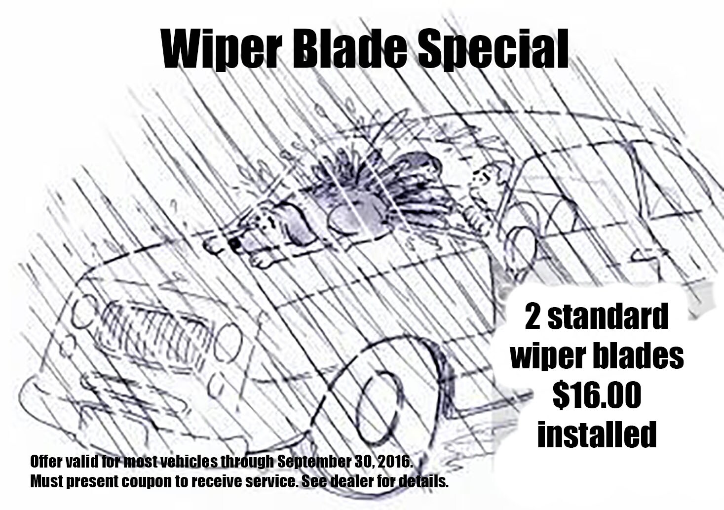 wiper blade special.jpg