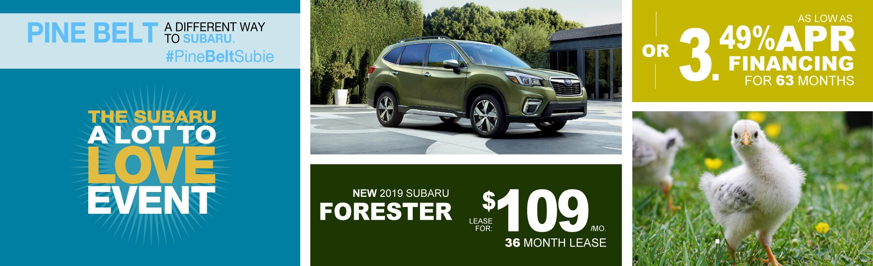 PBS-1278-March-Web-Slider_2019_Forester.jpg