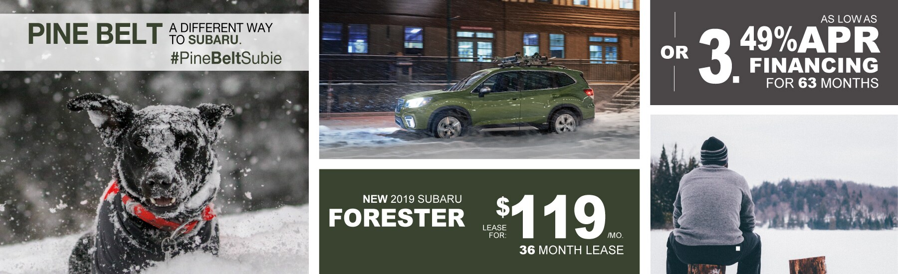 PBS-1253-January-Web-Slider_2019_Forester.jpg