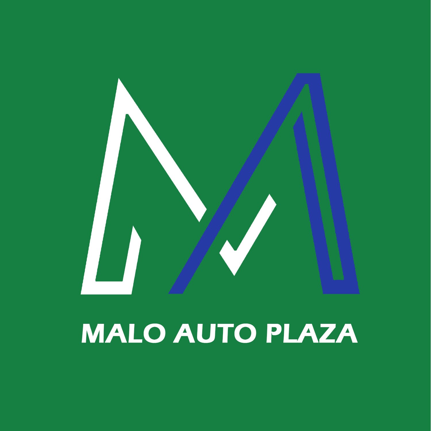 MAP%20FINAL%20LOGO%20copy.jpg