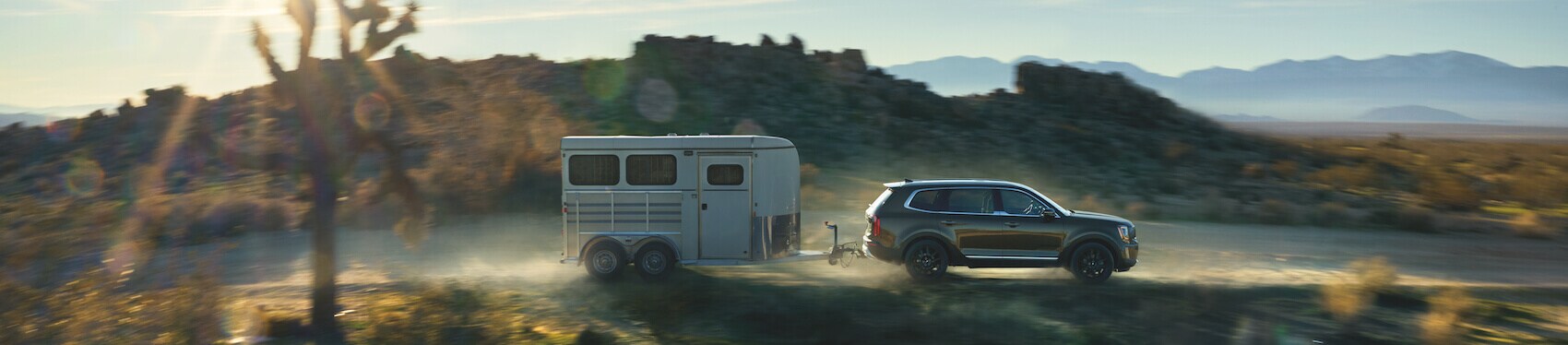 Kia Telluride for sale near Albuquerque, NM