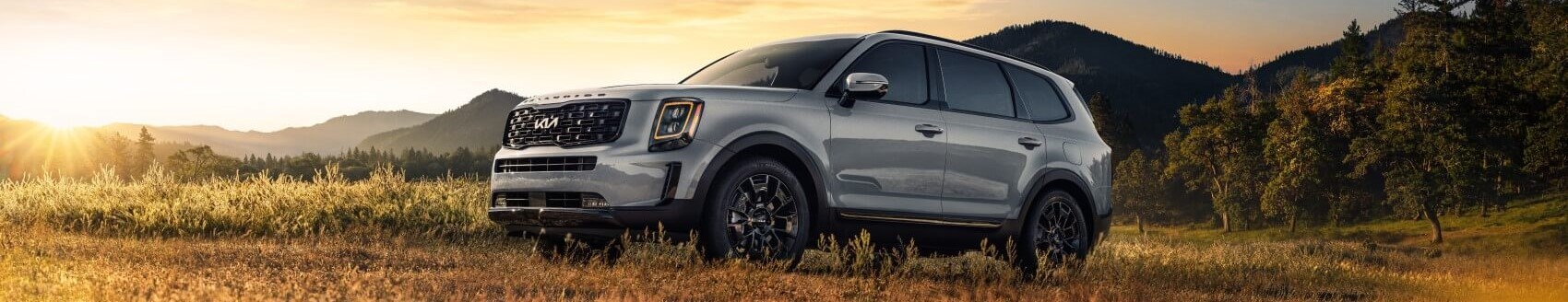 Kia Telluride vs Hyundai Palisade