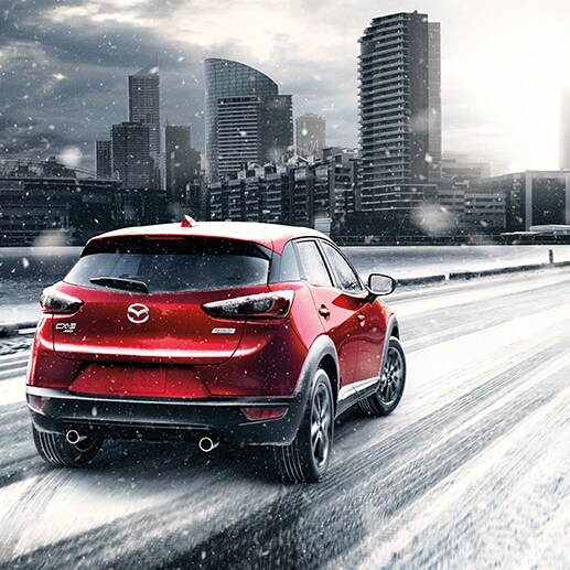 Icy Conditions.jpg