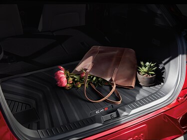 mazda-trunk.png