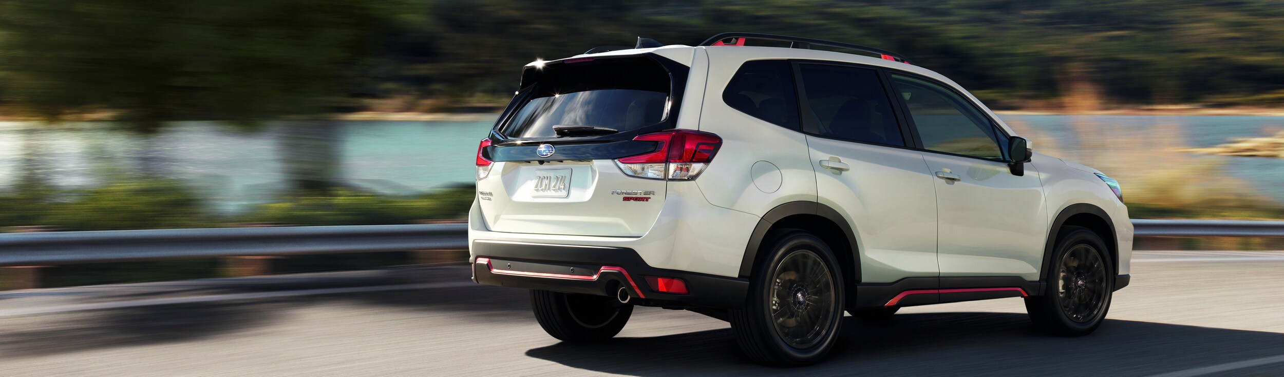 2020foresterheader2.jpeg