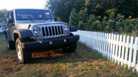 wrangler1.jpg