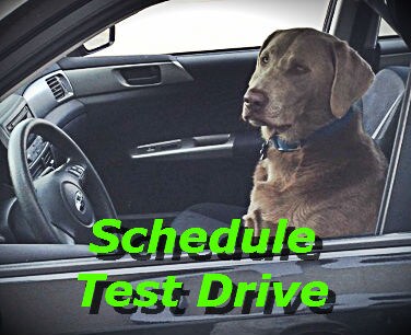 Blue Driving Forester.jpg
