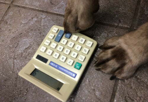 Blue Payment Calculator.jpg