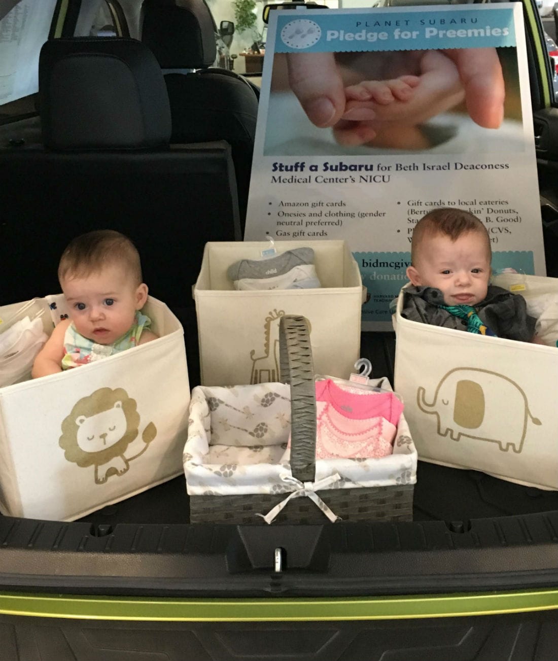 Pledge for Preemies car.jpg