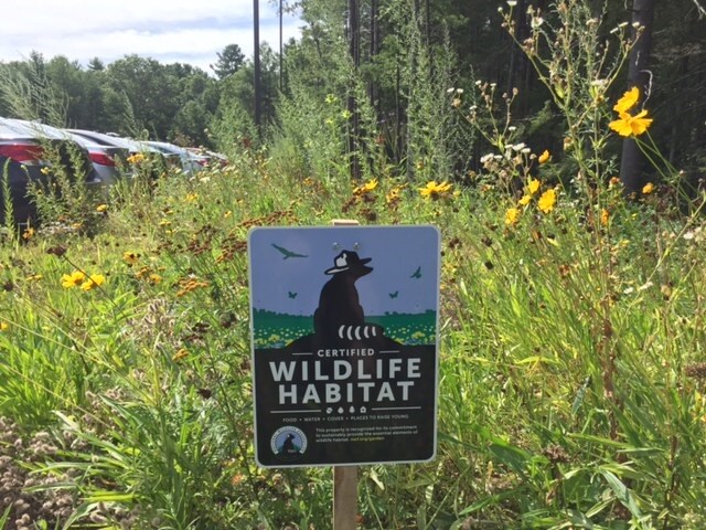 Certified Wildlife Habitat.jpg