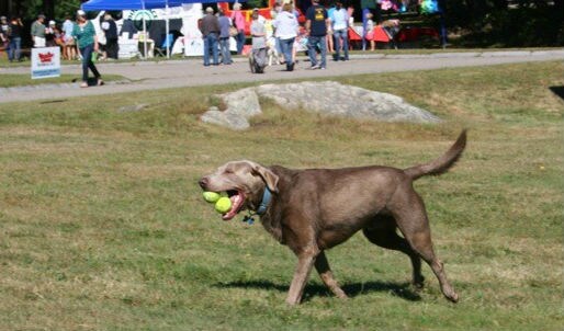 Blue with three balls.jpg