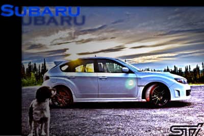 STi Alaska.JPG