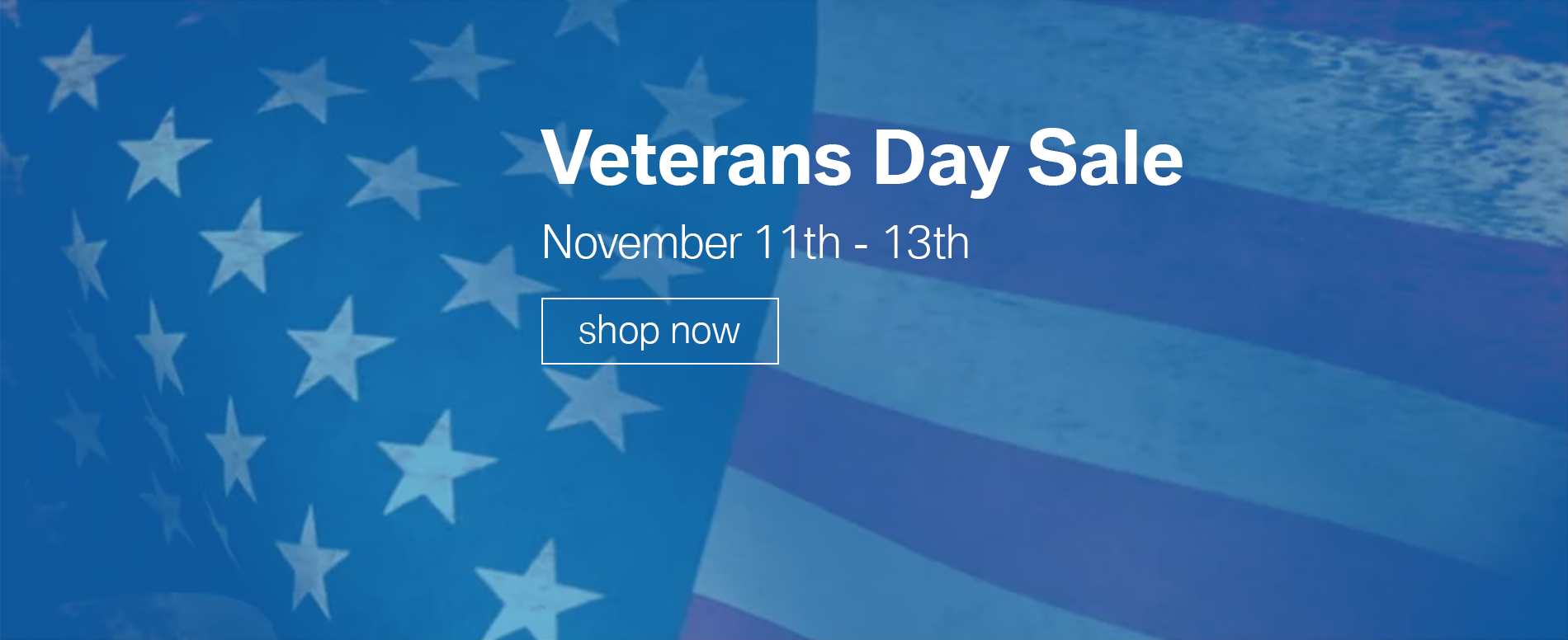 BMW-Veterans-Day.png