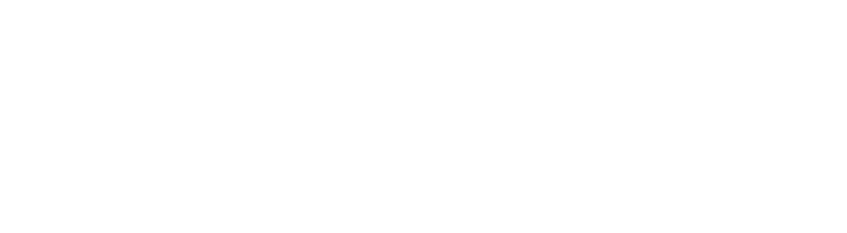Plaza Auto Group 2020 V4 Horizontal White 1200x330 RGB.png