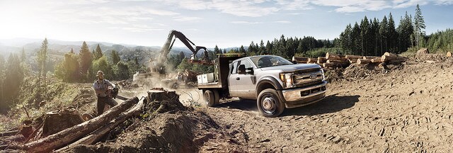 Ford Fleet Service