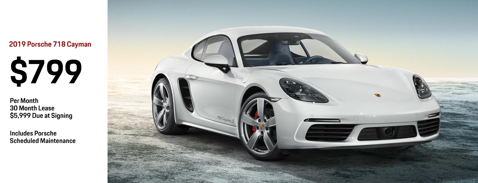 SPECIAL_LARGE_CAYMAN.png