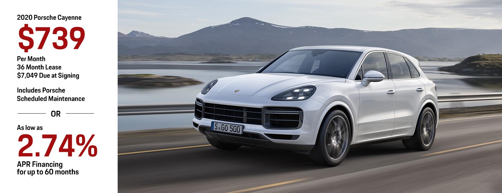 Porsche_Special_CAY.png