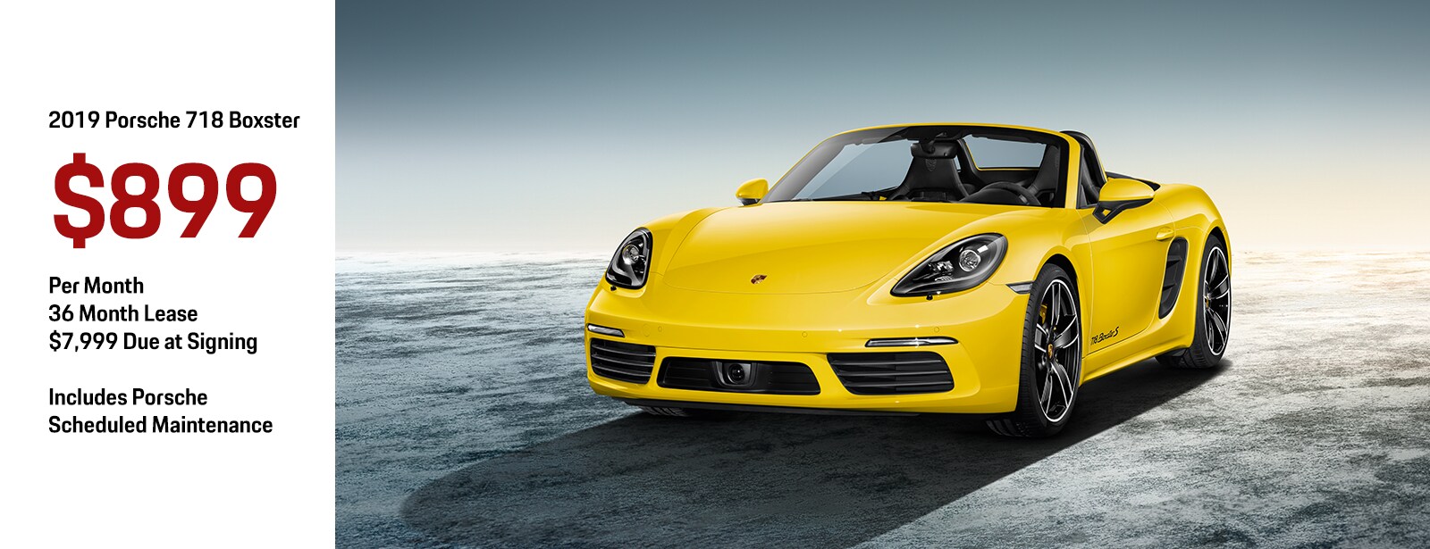 Porsche_Special.png