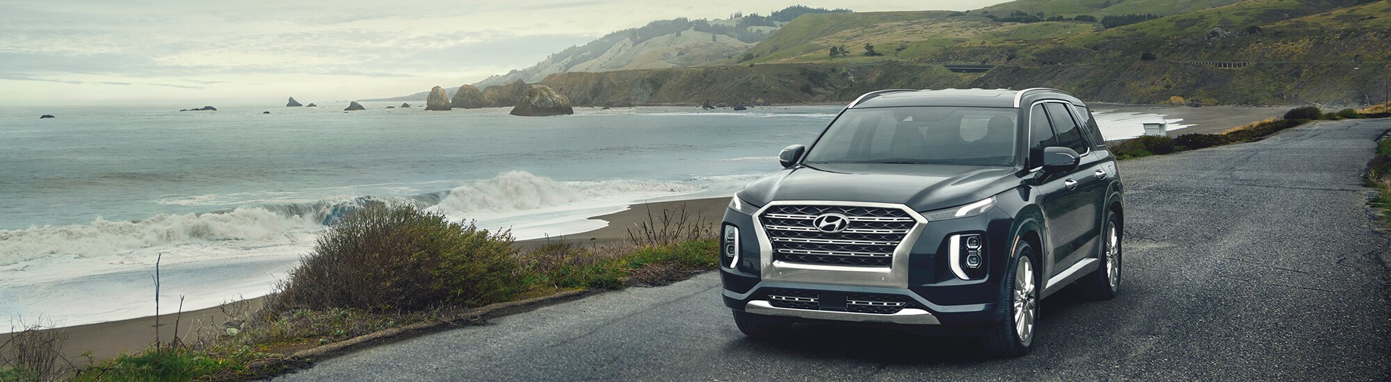 Hyundai Palisade hero image4 2000x550.jpg