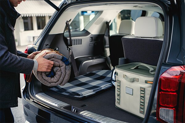 Hyundai Palisade interior 600x400.jpg