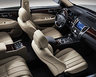 Equus interior
