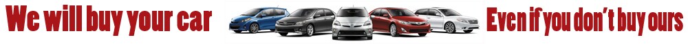 We Will Buy Your Car.jpg