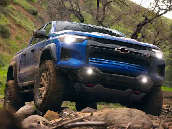 Colorado exterior forest