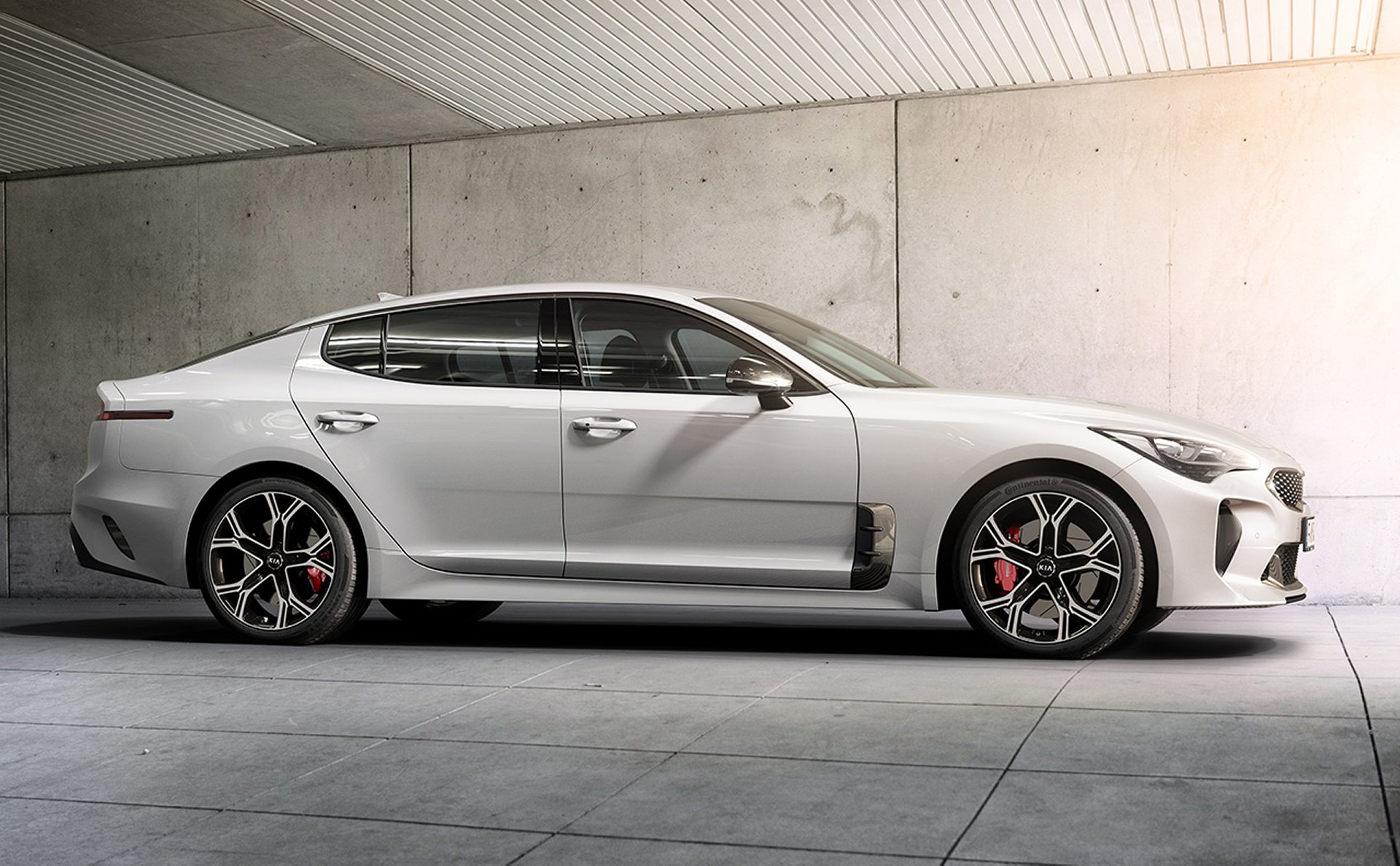 Stinger white.jpg