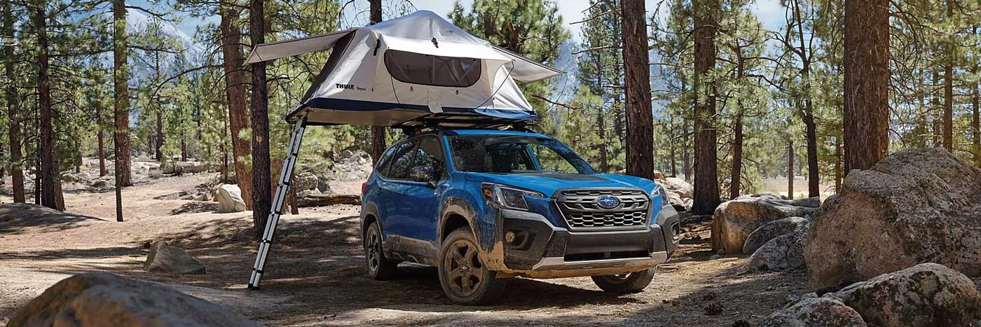 2023-forester-wilderness.jpg Camping in Hayward, CA in a new Subaru Forester Wilderness