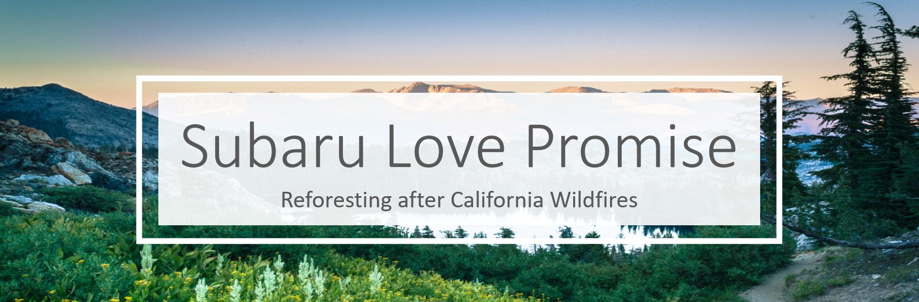 premier-subaru-wildfires.png How Subaru is helping after Wildfires